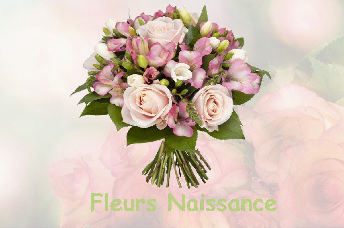 fleurs naissance NORGES-LA-VILLE