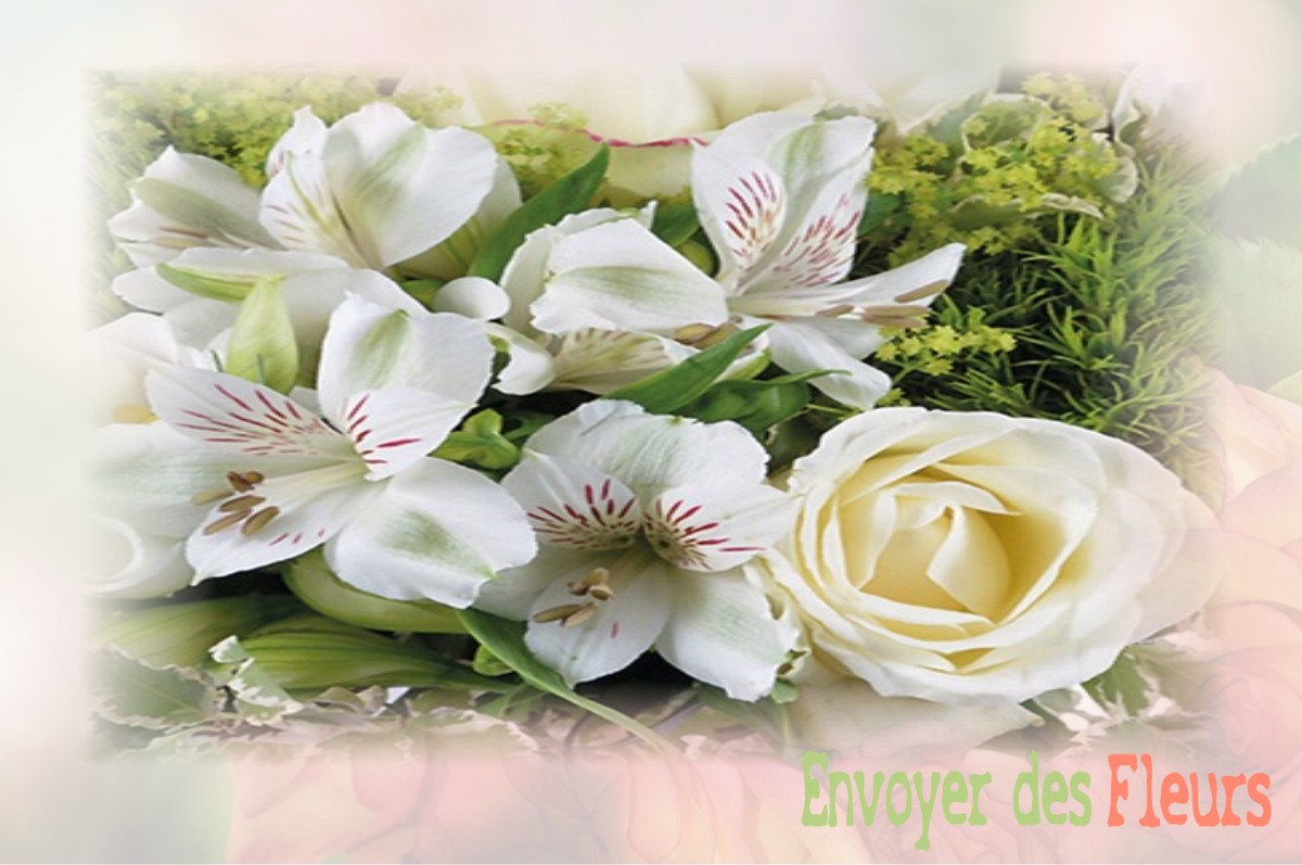 envoyer des fleurs à à NORGES-LA-VILLE