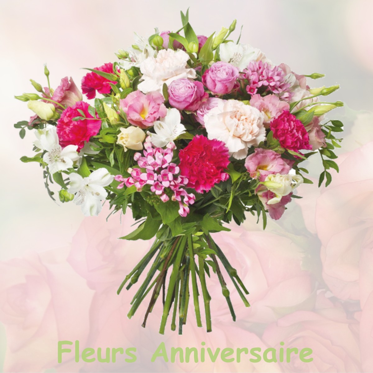 fleurs anniversaire NORGES-LA-VILLE