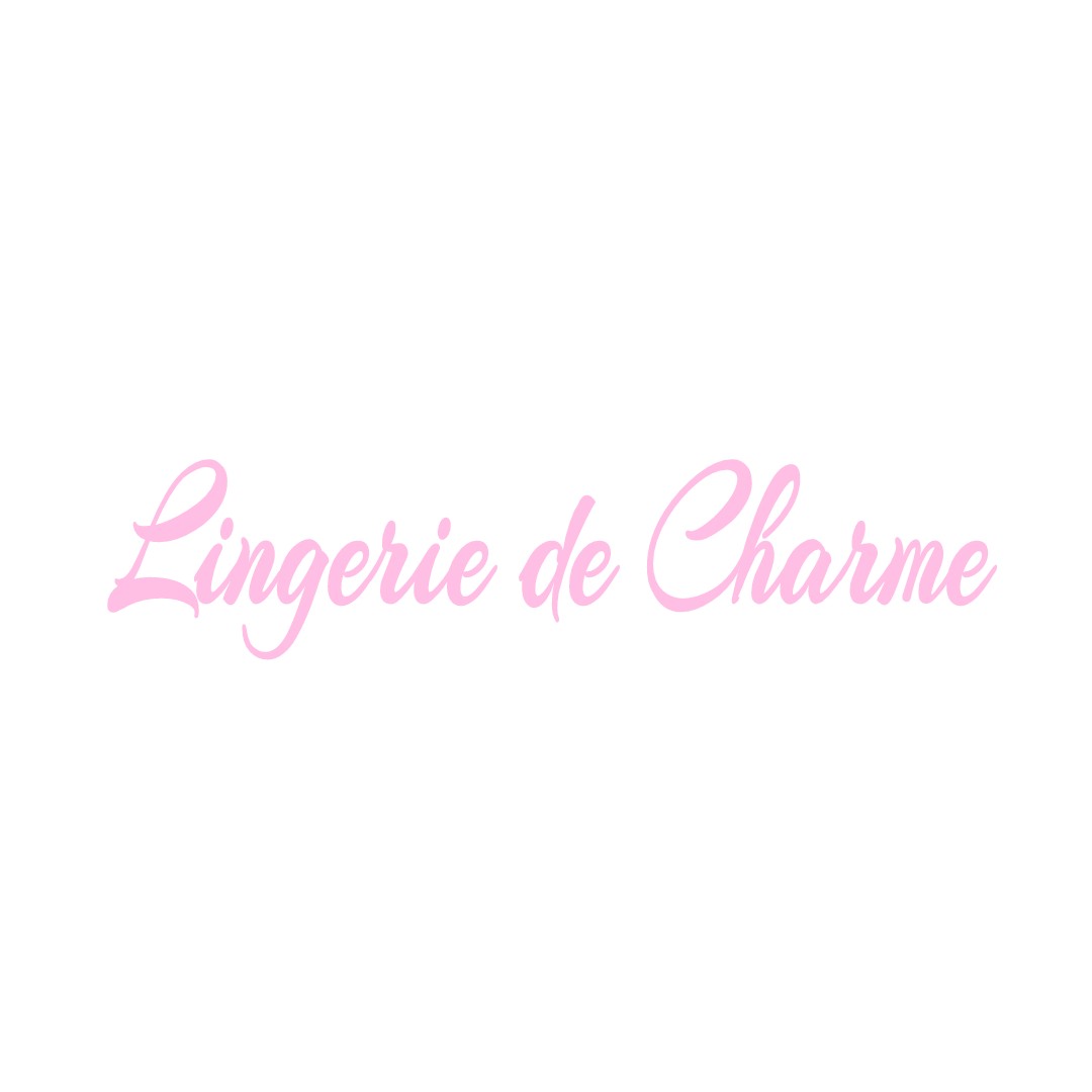 LINGERIE DE CHARME NORGES-LA-VILLE